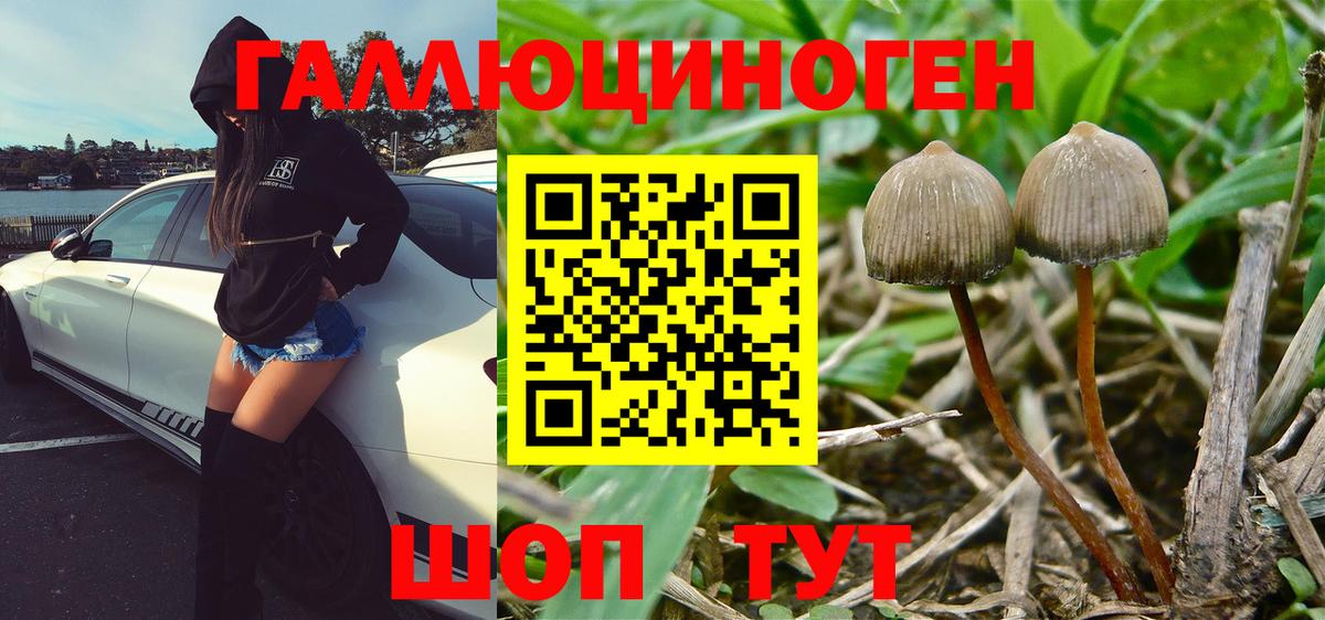 купить   Галлюциногенные грибы Cubensis  Вход с VPN  Псилоцибиновые грибы Magic Shrooms  Сердобск 