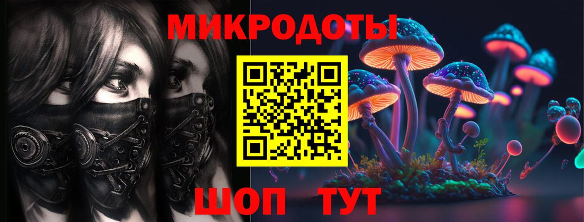 Псилоцибиновые грибы мицелий Сердобск